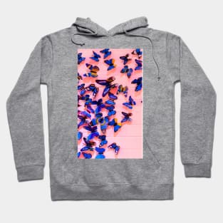 Cute Beautiful  Butterfly Pink Pattern Artwork Hoodie